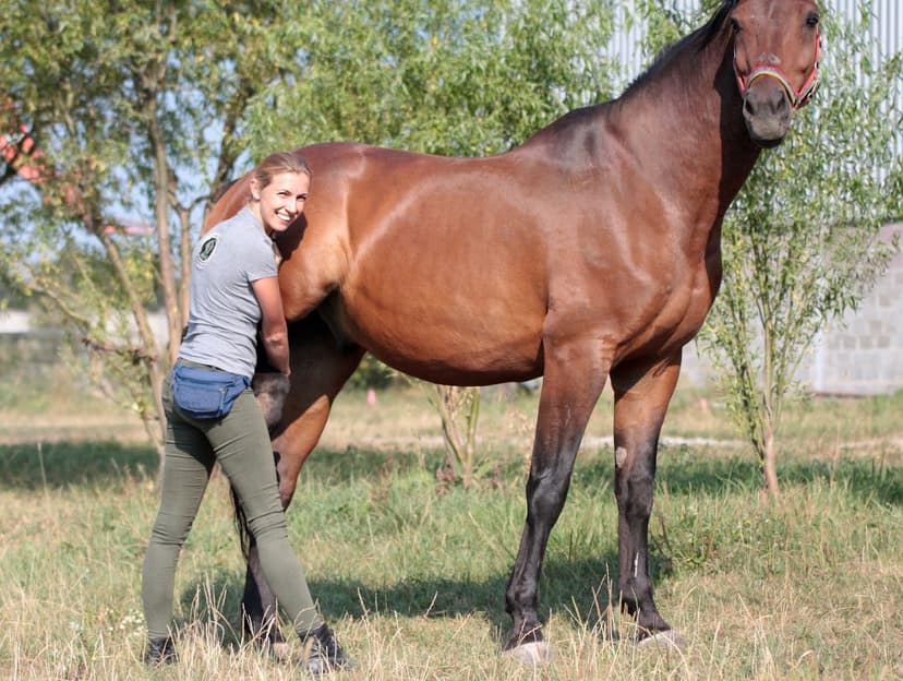 Gabinet Weterynaryjny dla koni "PokWet" dr hab. Paulina Zielińska