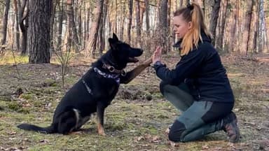 Dogadani - behawiorysta i trener psów Anna Marciniak
