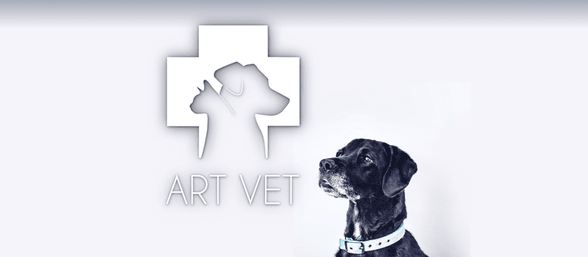 ART VET gabinet weterynaryjny