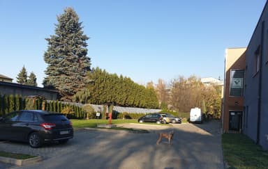 Centrum Okulistyki Weterynaryjnej "For Eyes" - Usuwanie zaćmy u psa i kota. Badanie ERG. Mikrochirurgia oka.
