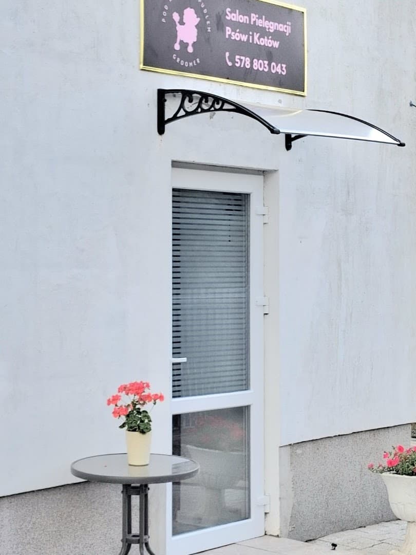 Pod Różowym Pudlem Groomer Psi Fryzjer
