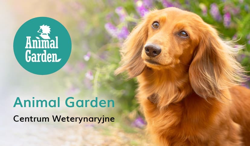 Przychodnia Weterynaryjna Centrum Weterynaryjne Animal Garden s.c