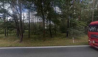 Czysty Futrzak