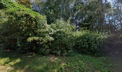 Gabinet Weterynaryjny Farmed. Kompleksowa obsługa stad bydła.