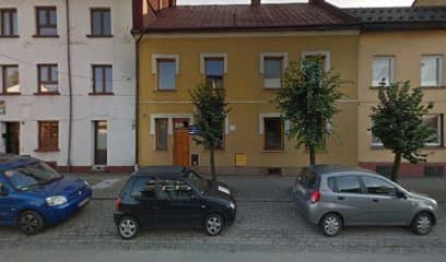 Strzyżenie i pielęgnacja psów