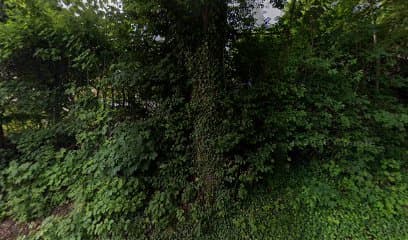 Arka. Przychodnia dla zwierząt