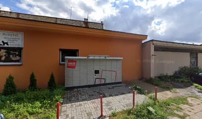 Szkolenie Psów