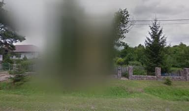 GabiGroom Fryzjer dla psów