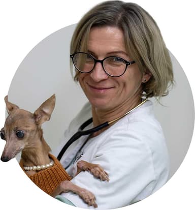 Gabinet Weterynaryjny dr n. wet. Sylwia Kajdasz - Primo Wet