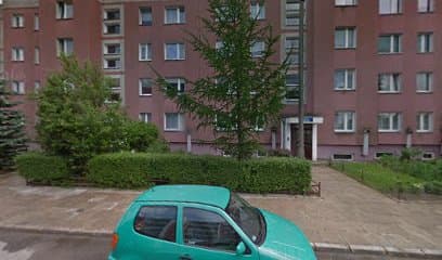 Jak Pies z Kotem