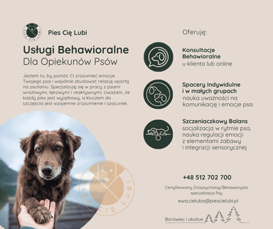 Pies Cię Lubi. Zoopsycholog i Behawiorysta Psów. Konsultacje Behawioralne