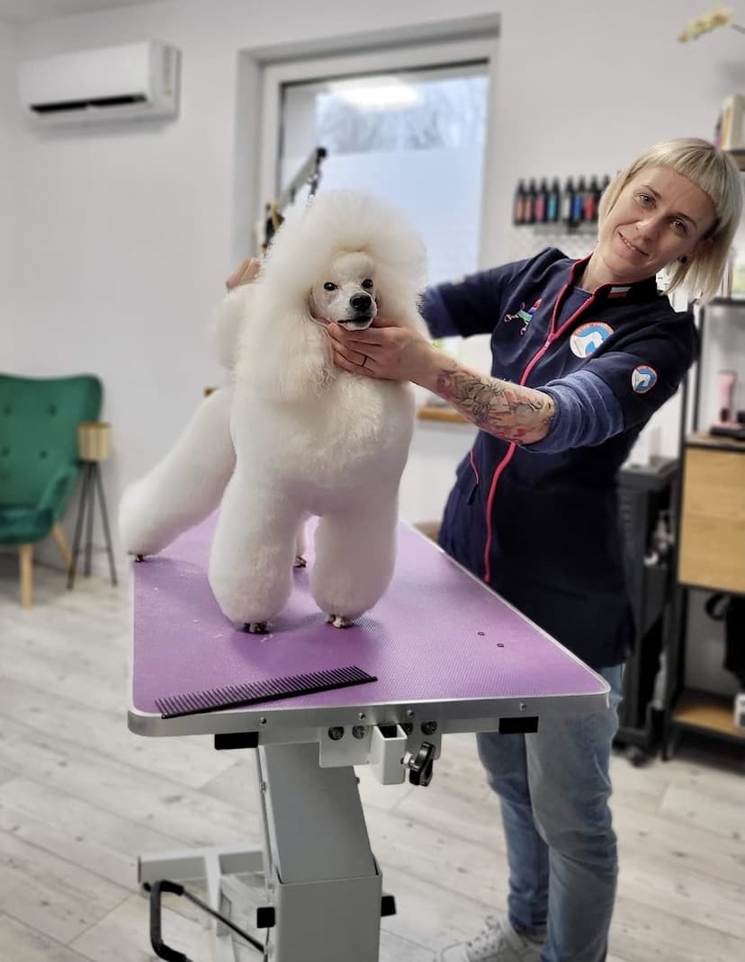 Creative Dog - Pielęgnacja Psów