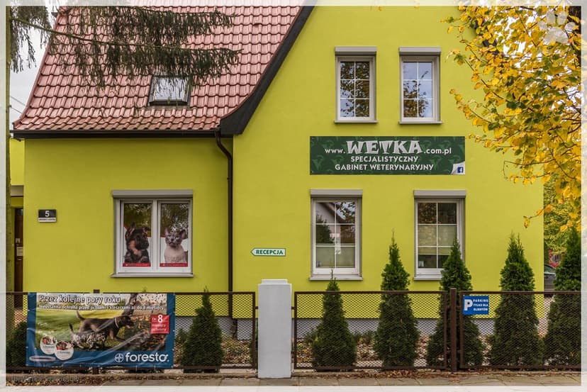 WETKA Gabinet Weterynaryjny lek. wet. Monika Karwowska specjalista chirurgii weterynaryjnej