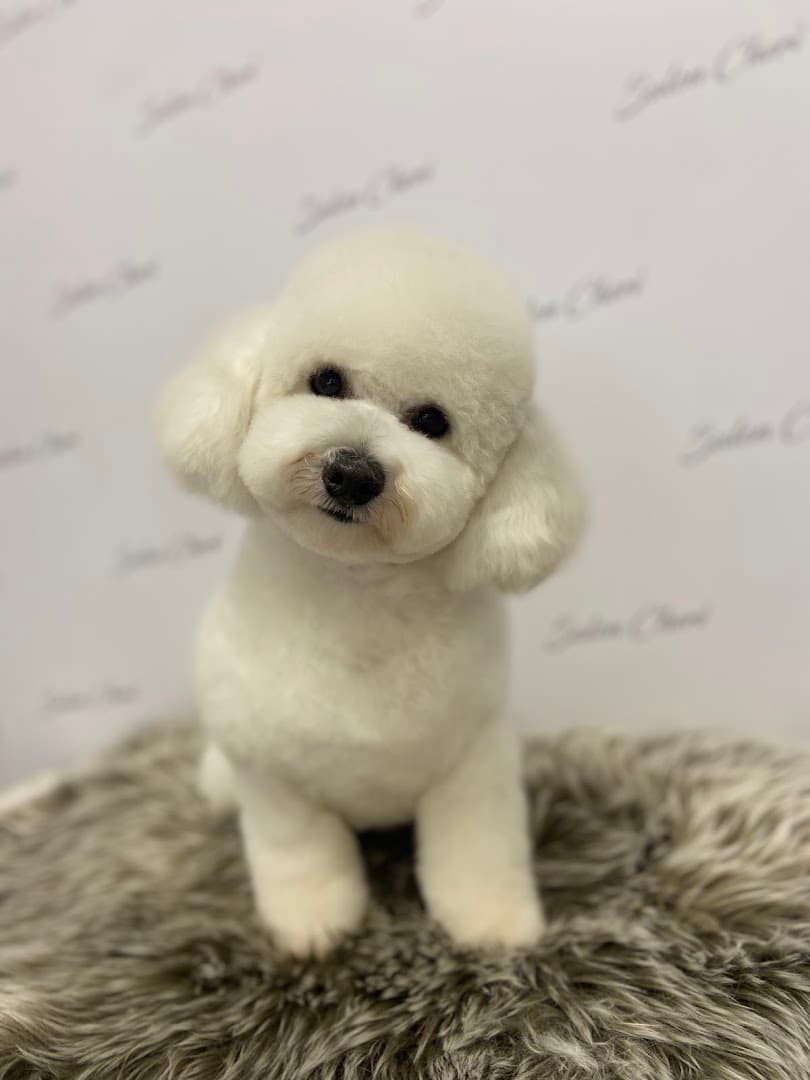 Salon Cheri