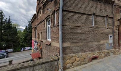 Anna pielęgnacja psów i kotów