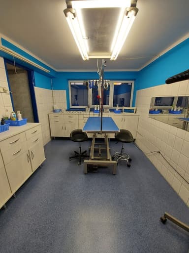 Salon Pielęgnacji Psów ALADOR