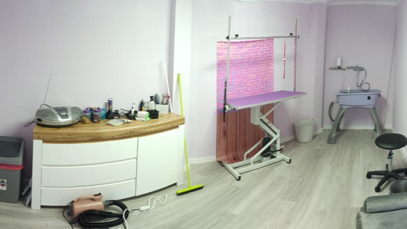 Charlie Salon Pielęgnacji Psów