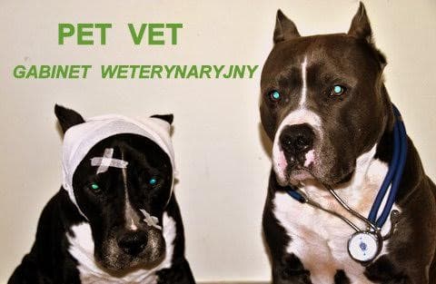 PET VET GABINET WETERYNARYJNY Małgorzata Firlej