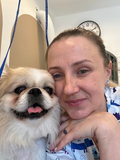 Groomer Reksio Psi Fryzjer Bochnia