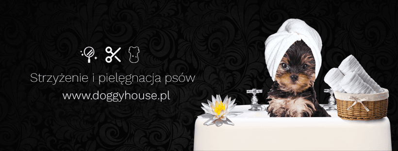 Doggy House