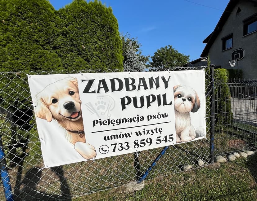 Psi Fryzjer "ZADBANY PUPIL" Pielęgnacja Psów
