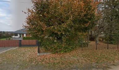 Usługi Weterynaryjne