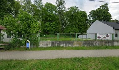 Strzyżenie i pielęgnacja psów