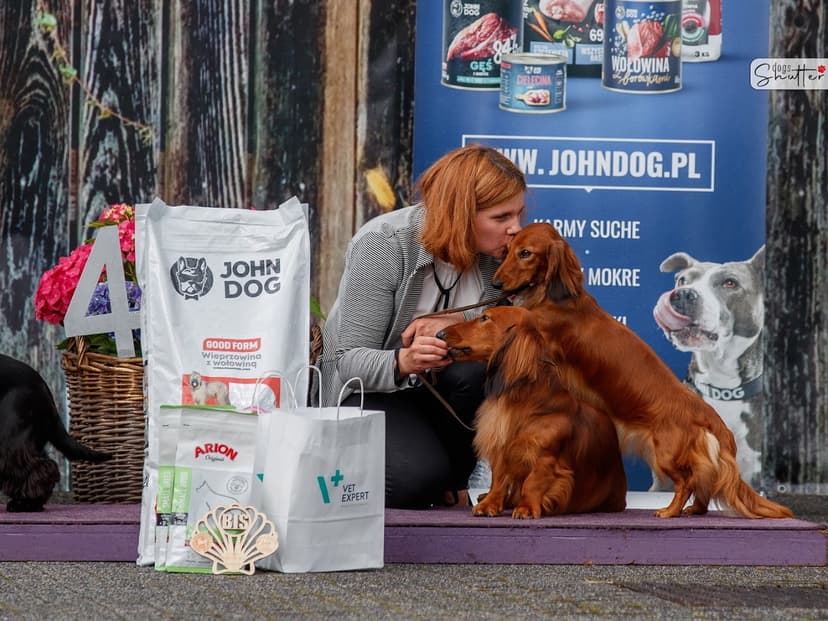WinDog - Salon Pielęgnacji Psów