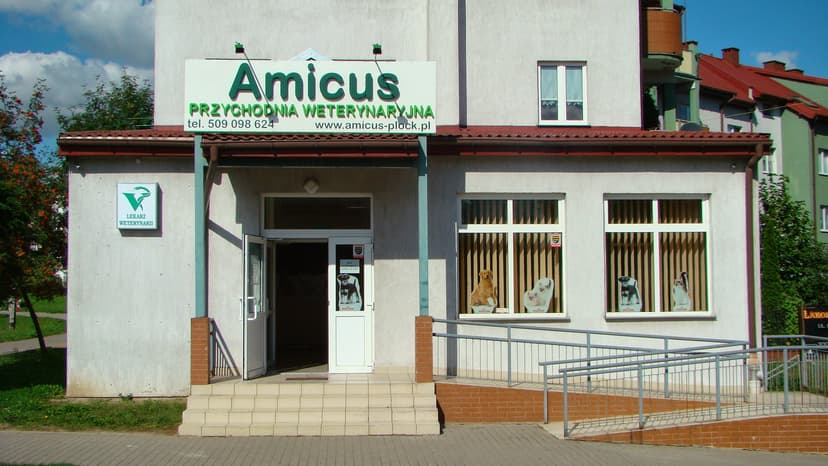 Amicus