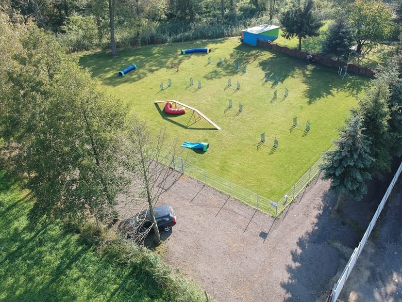 ENUMA - Centrum Szkolenia Psów