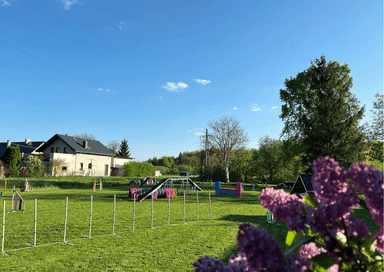 Kenzawana - Agility Tarnów