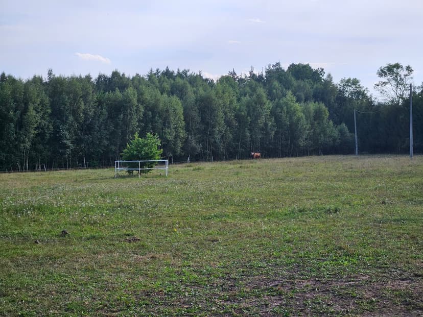 Gabinet weterynaryjny dla koni Kraskowo