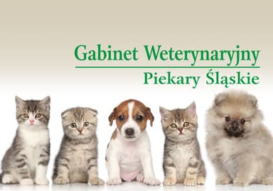 Gabinet Weterynaryjny