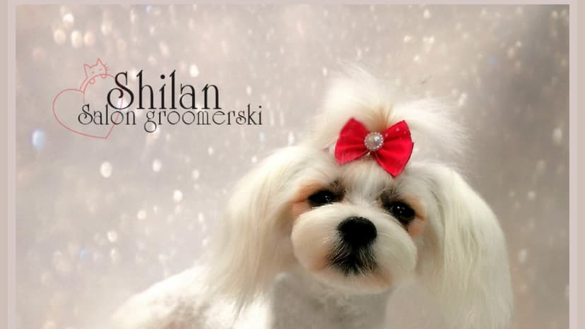 Shilan