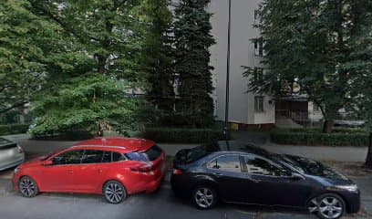 Groomer - Kompleksowa pielęgnacja psów