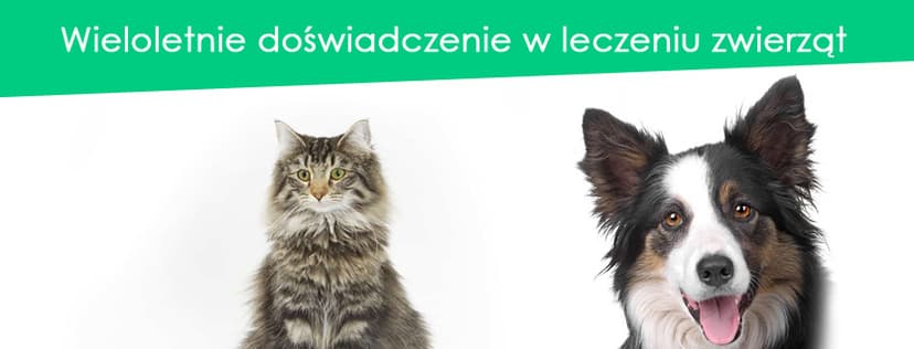 Anivet. Przychodnia weterynaryjna. Demicki P., lek. wet. Spec. chorób psów i kotów