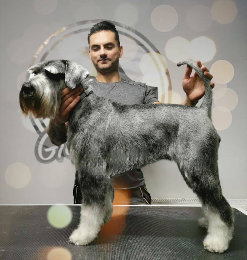 Akira Grooming