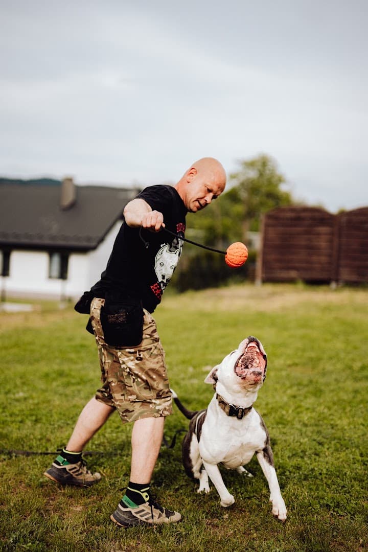 Hotel Dla Psów '' Bad Manner's Dogs''