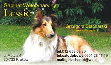 Lessie Gabinet Weterynaryjny