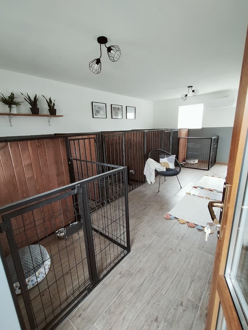 "Pupilove" hotel dla psów