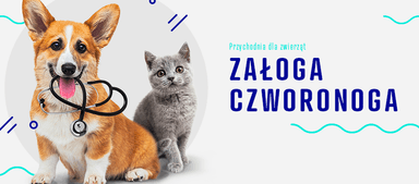Przychodnia dla zwierząt Załoga Czworonoga