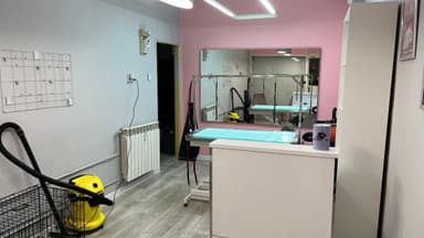FaberBeauty - Psi fryzjer