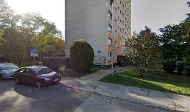 Strzyżenie Psów i Kotów Shaggy-Club