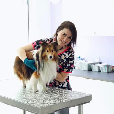AstroVet Gabinet Weterynaryjny Marta Jaroczyńska