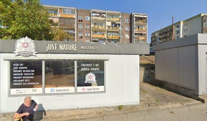 Wyczesany Psiak Salon Groomerski Strzyżenie Psów