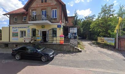 Psi Fryzjer Madzia ️ - Strzyżenie, Trymowanie i Pielęgnacja Psów | Fryzjer Dla Psów Sieraków
