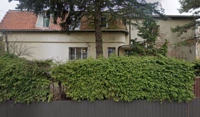 Zadbane Zwierzaczki Groomer Psi Fryzjer Warszawa