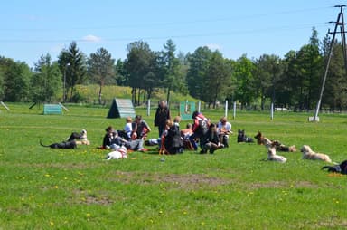 Psia Szkoła Bemowo