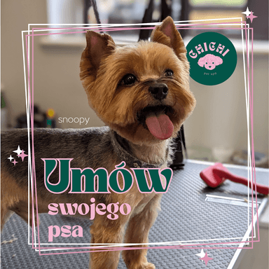 CHICHI DOG - Psi Fryzjer, Fryzjer dla psów, Strzyżenie psów