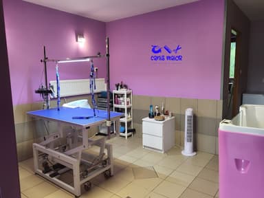 Canis Maior Groomer i Pet Hotel- salon strzyżenia psów